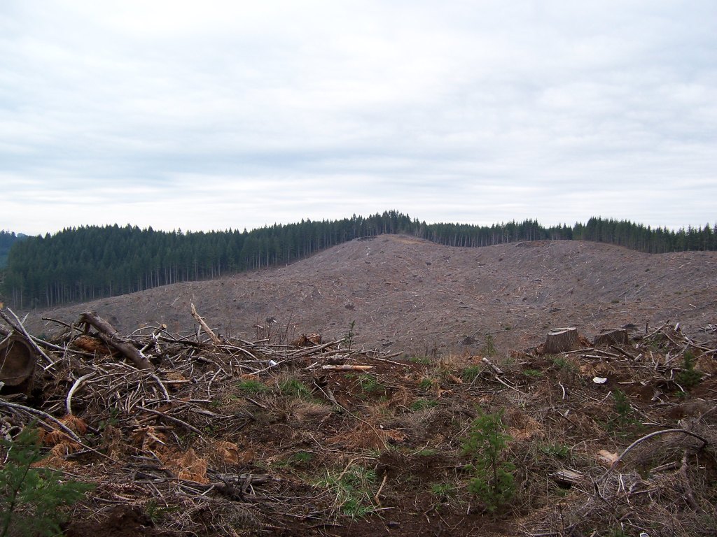 Eco-anxiety: climate change affects our mental health – here’s how to&nbsp;cope