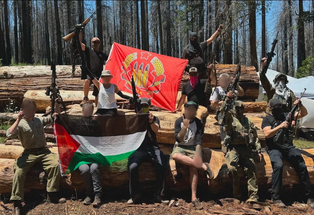 A Return to Leftist&nbsp;Self-Defense