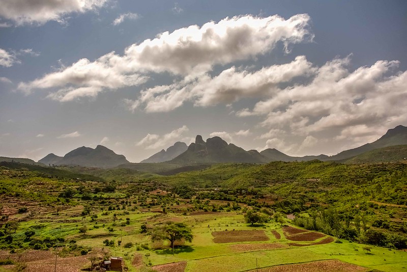 How and Why the US Authoritarian Left Betrayed Tigray